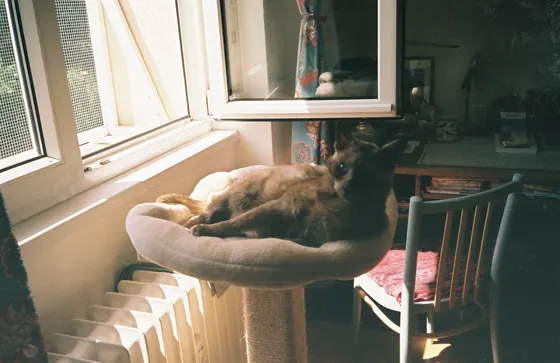 Výtvarná kompozice s jemnou kresbou