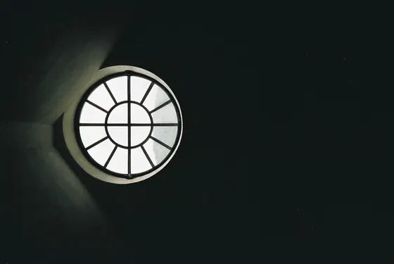 Analogová fotografie přírodního detailu