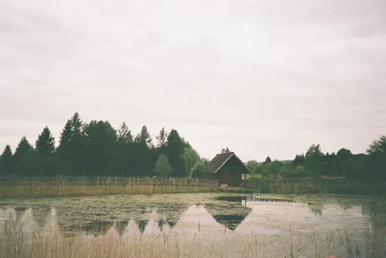 Analogová fotografie tichého zátiší